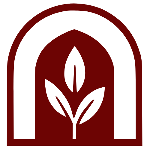 Matcha Medina